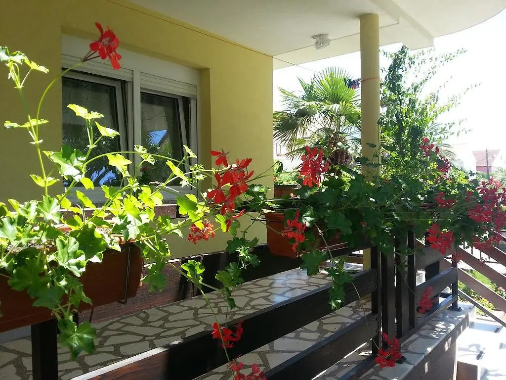 Apartment Perunika Zadar